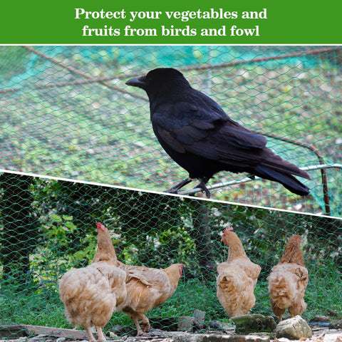 Sukh Fruit Tree Protection keeps fruit safe from birds before harvest.