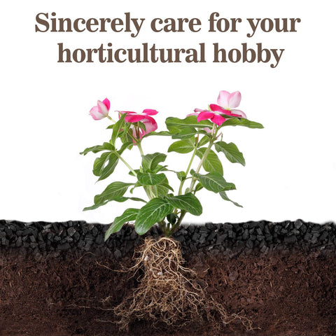 Sukh Horticultural Charcoal bonsai repotting demonstrates improved drainage.