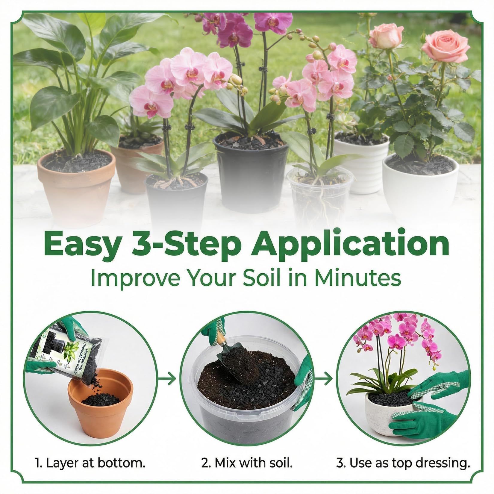 Sukh horticultural charcoal as a clean top layer for decorative indoor plant beds.