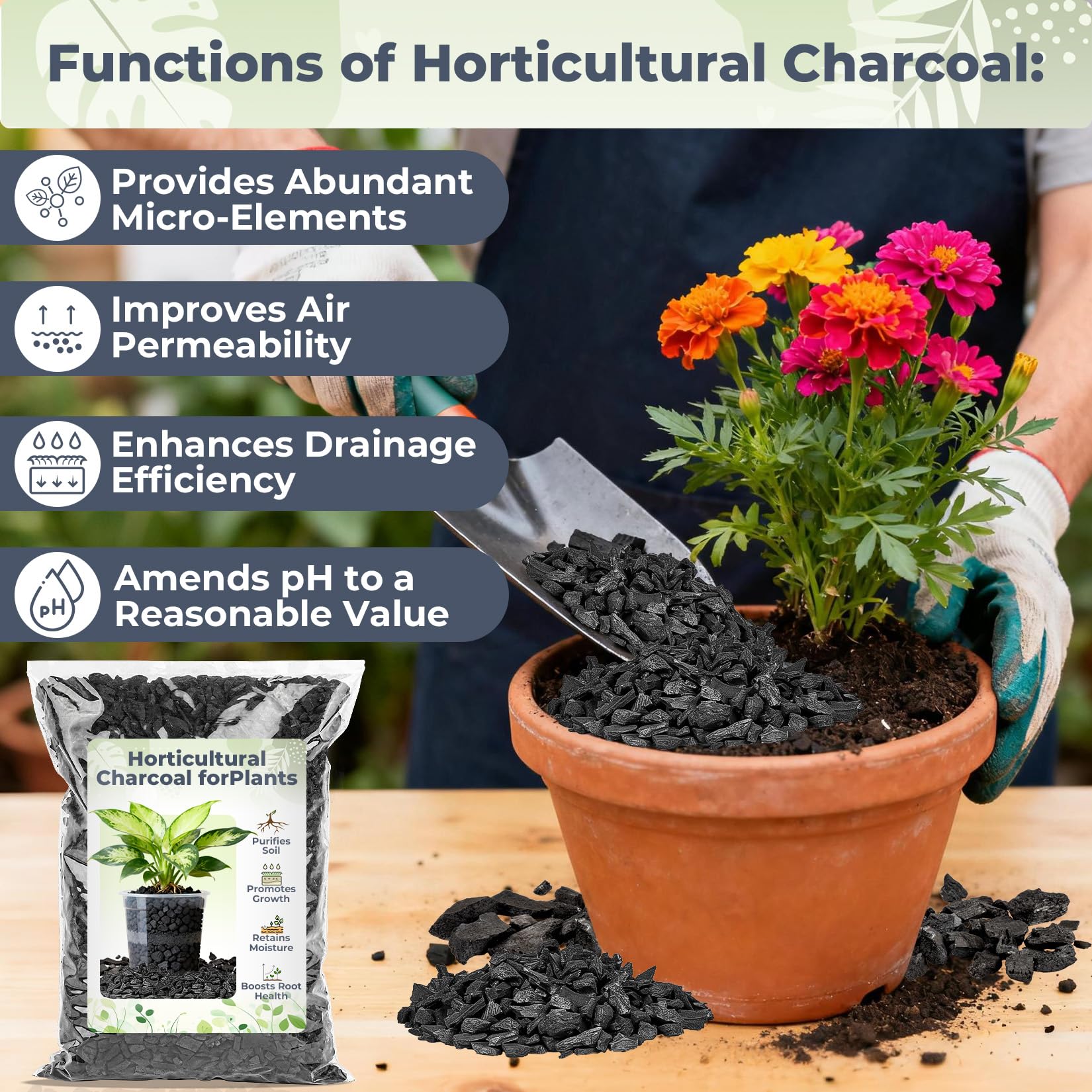 Sukh Horticultural Charcoal pouring demonstrates improved soil aeration.