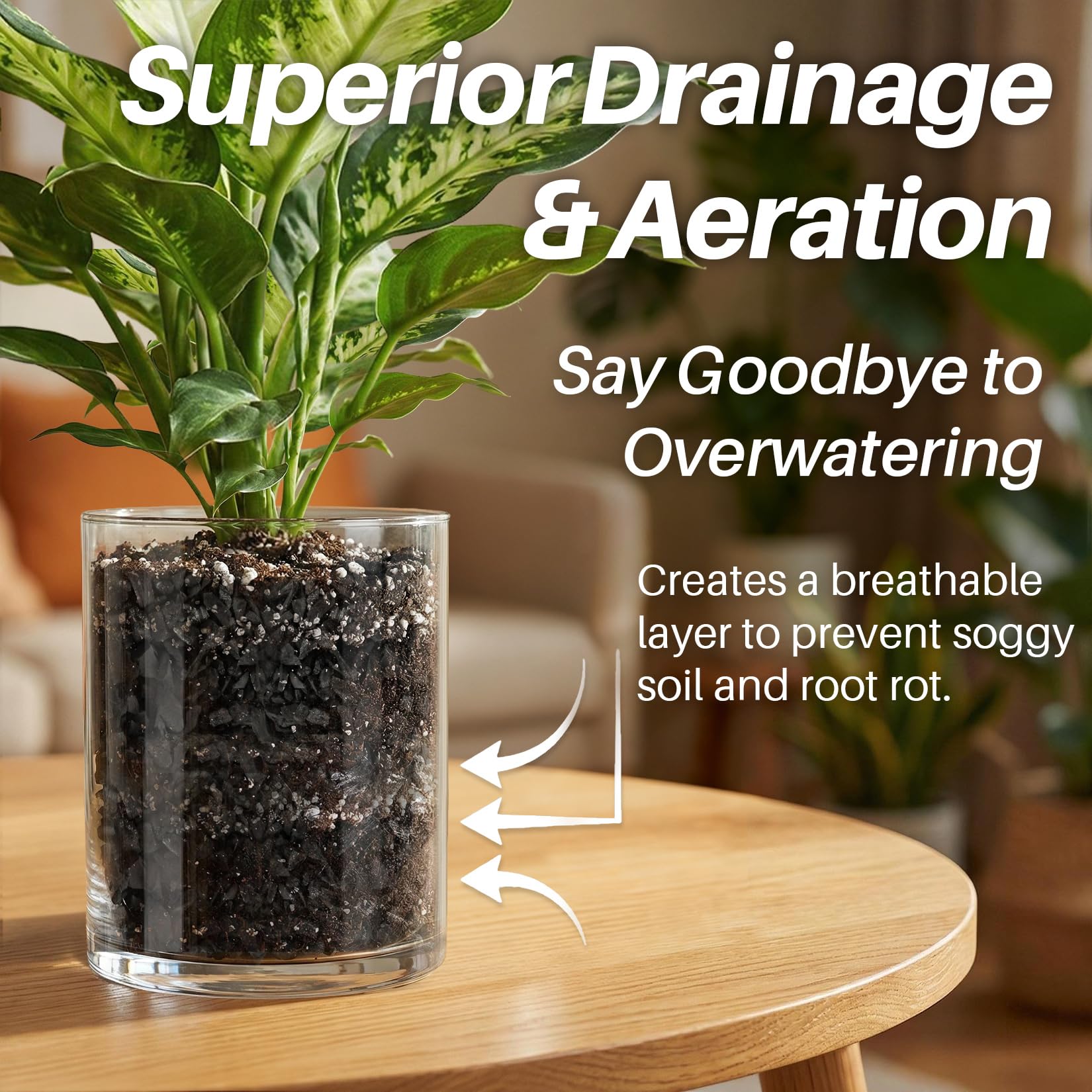 Sukh charcoal for terrariums regulates humidity and keeps terrarium soil breathable.