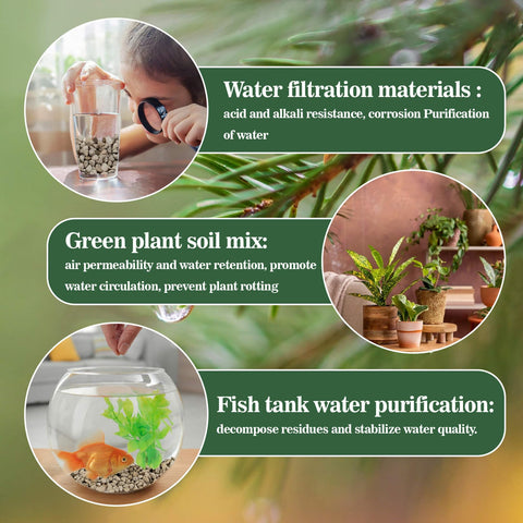 Sukh horticultural pumice stone for bonsai supports root aeration.