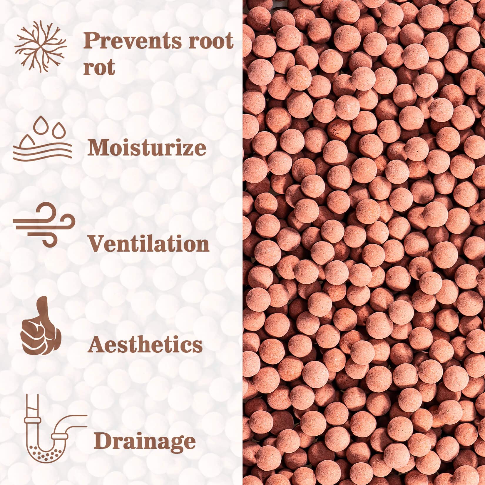 Sukh Hydroton supports aquaponics with breathable, stable moisture.
