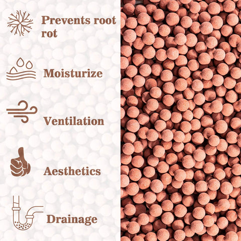 Sukh Hydroton supports aquaponics with breathable, stable moisture.