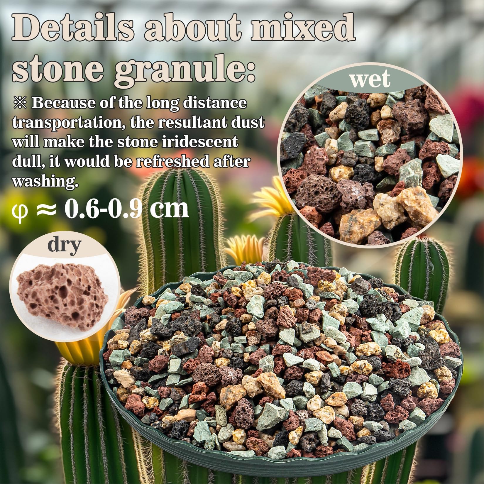 Sukh lava rocks for plants enhance drainage and moisture balance.
