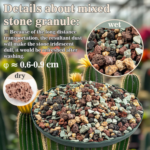 Sukh lava rocks for plants enhance drainage and moisture balance.