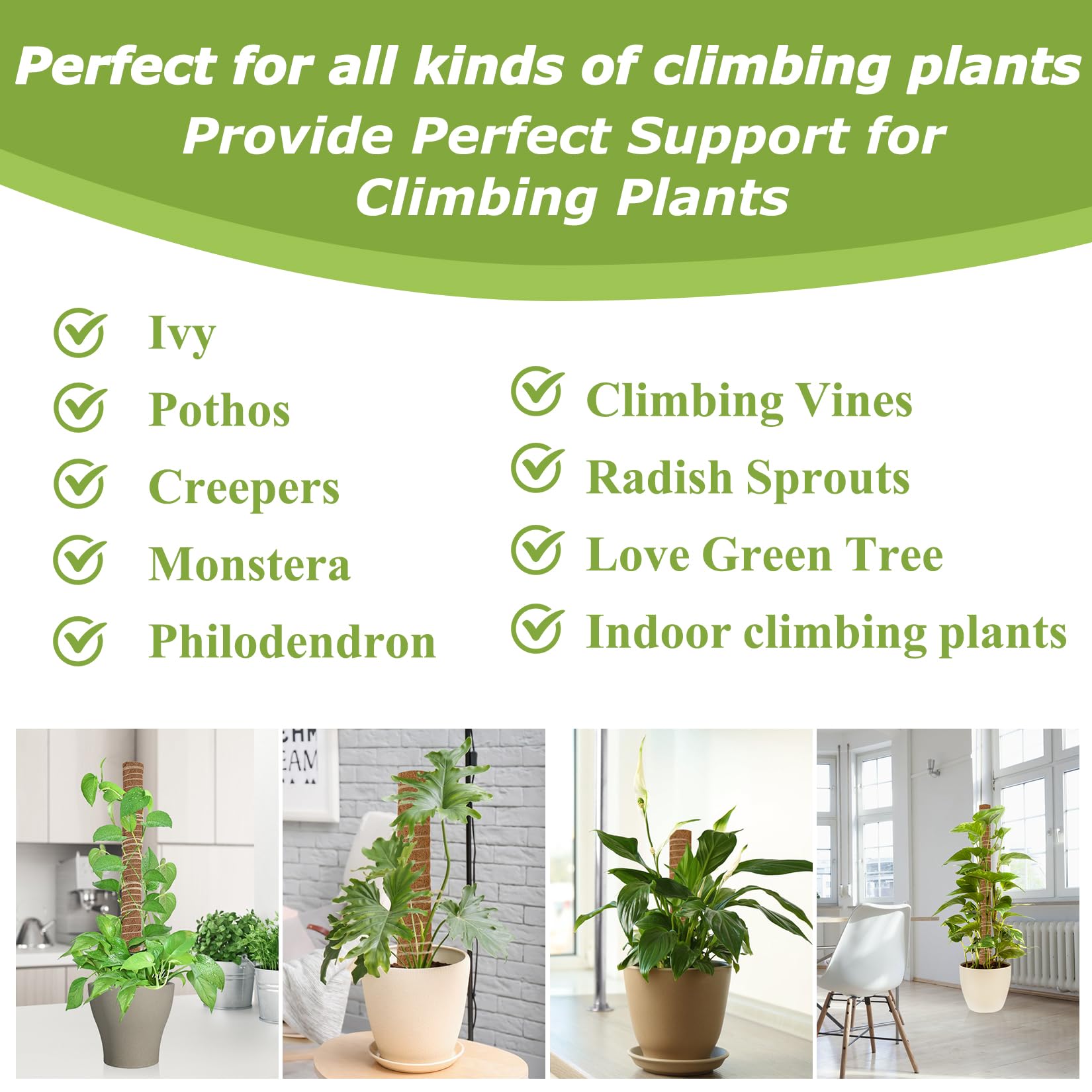 Sukh moss pole installation guide helps quick setup for vertical growth.