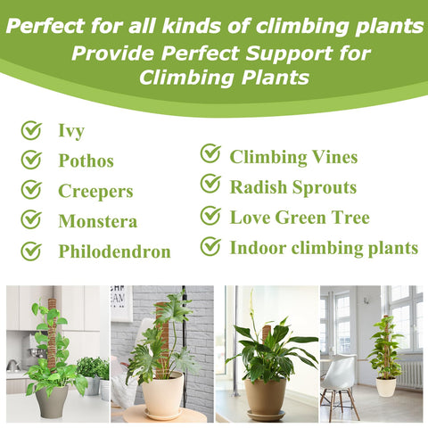 Sukh moss pole installation guide helps quick setup for vertical growth.