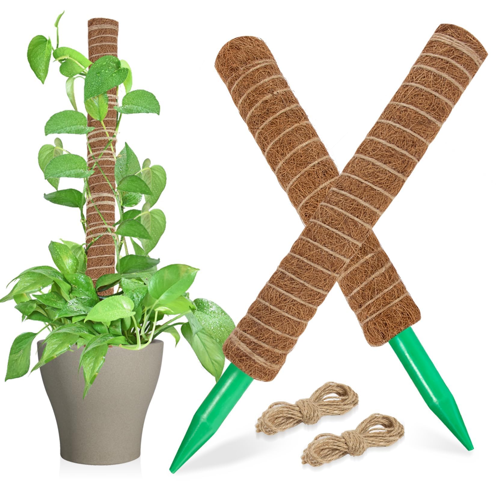 Sukh Moss Pole with extendable design supports climbing plants toward light.