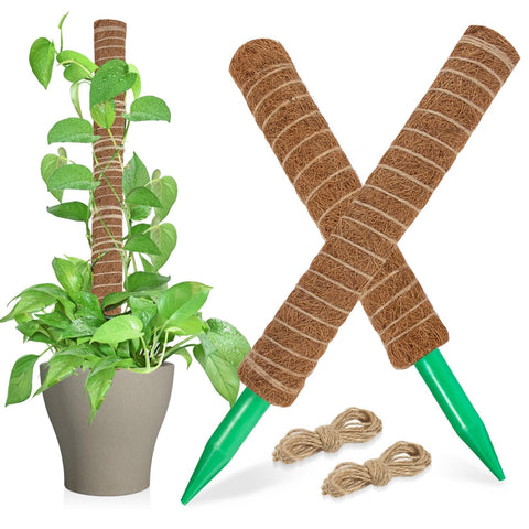 Sukh Moss Pole with extendable design supports climbing plants toward light.