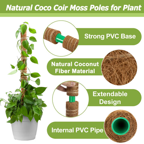 Sukh moss pole pointed base enables easy stable insertion into soil.