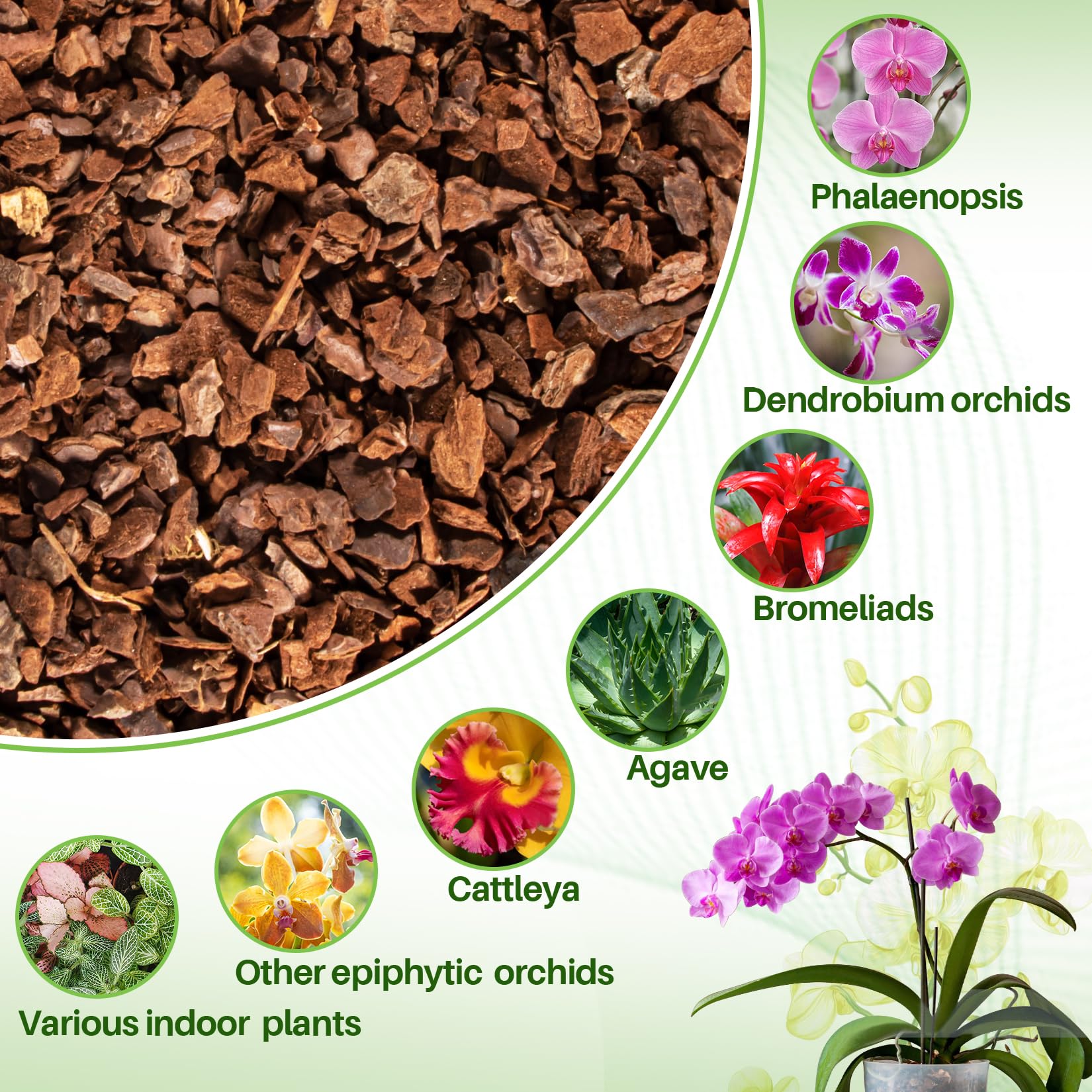 Sukh orchid bark mulch as top-dressing around potted plants improves moisture balance