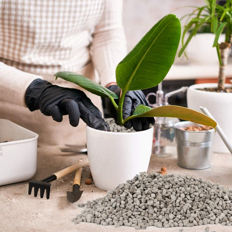 Sukh pumice stone promotes orchid root drainage and aeration.