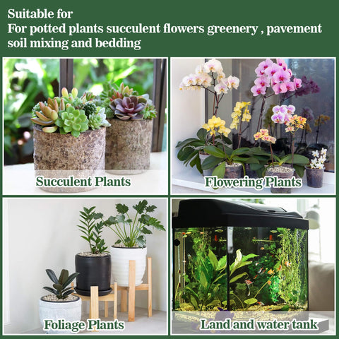 Sukh pumice stone in potting scene supports healthy plant growth.