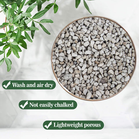 Sukh pumice stone for succulent and cactus soil drainage and aeration.