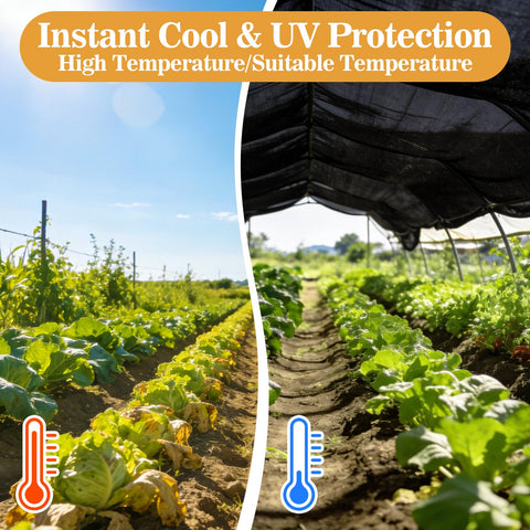 Sukh HDPE shade cloth provides UV protection in a greenhouse.