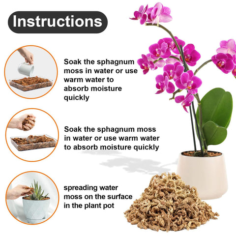 Sukh sphagnum moss root protection enhances airflow around roots