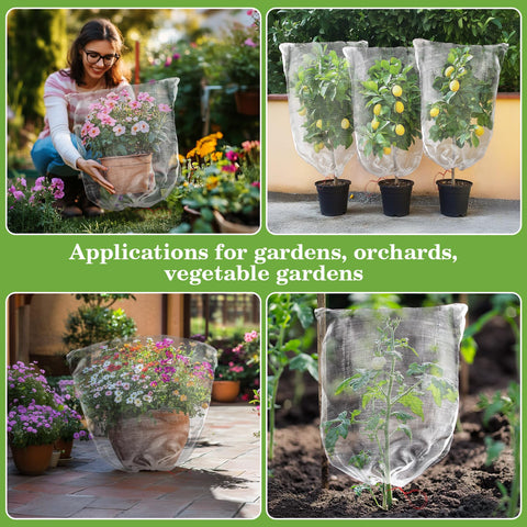 Sukh strawberry patch netting covers plants reducing pest access