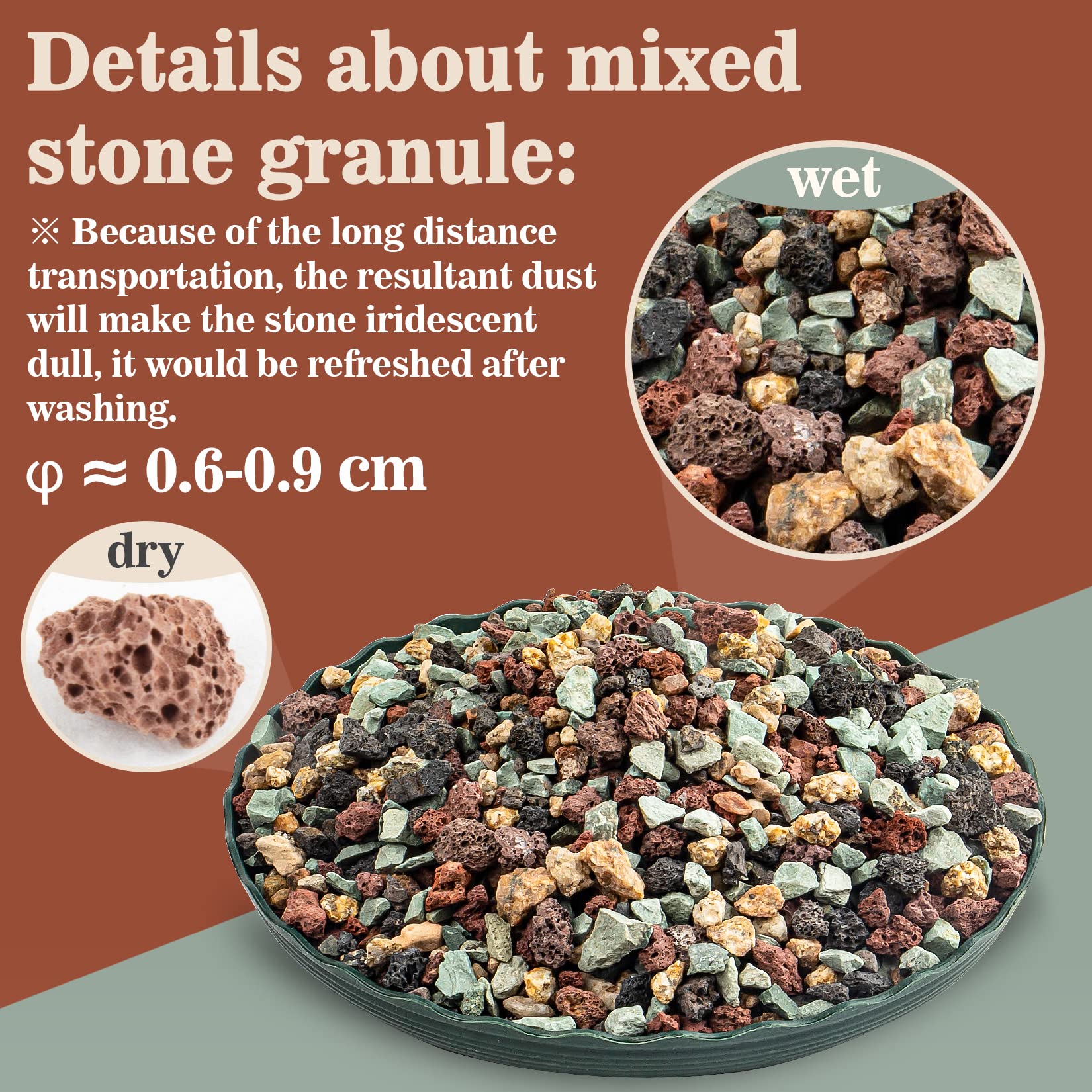 Sukh succulent granule soil with porous lava stones supporting root airflow.