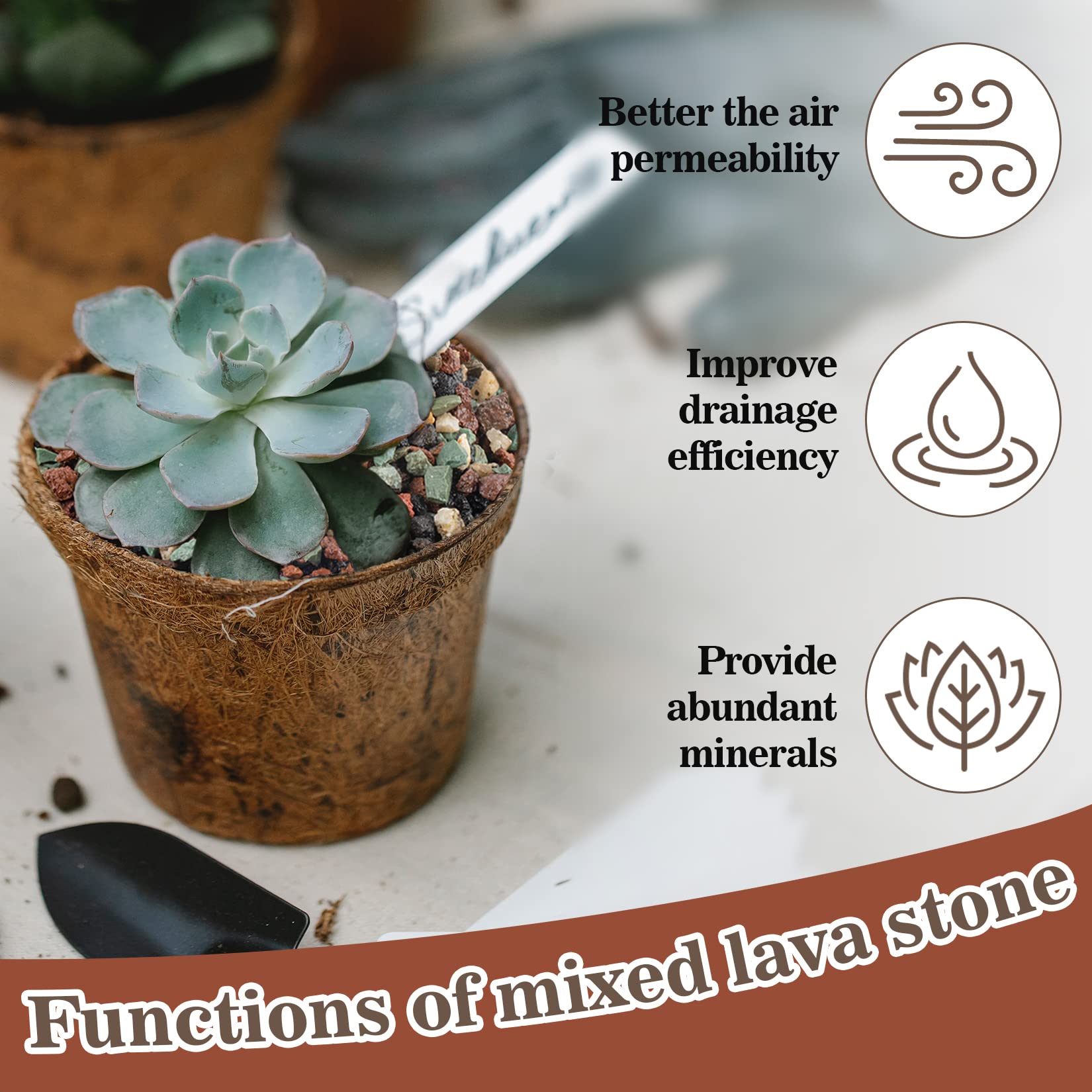 Sukh succulent potting mix improves indoor soil structure and airflow.