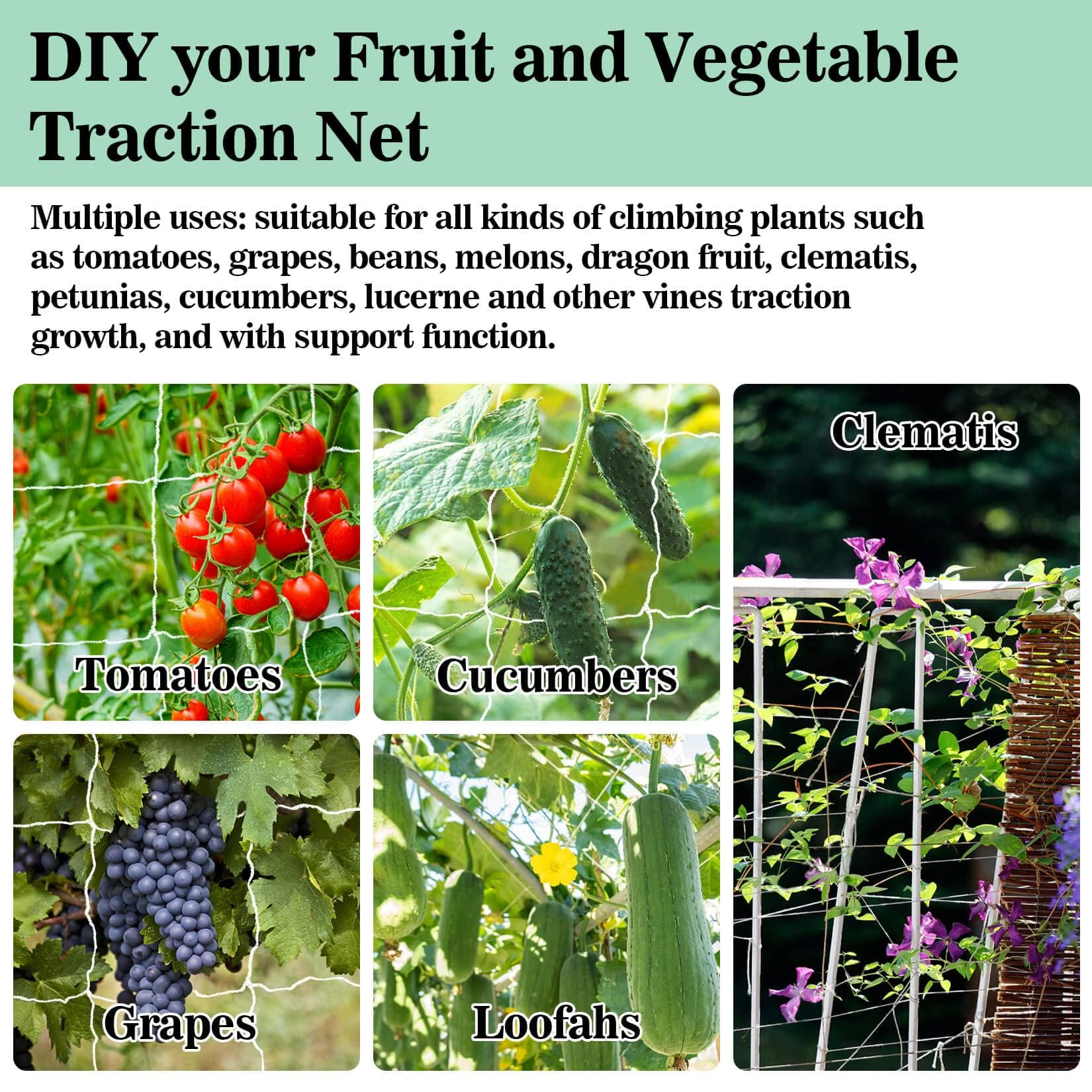 Sukh trellis in a home garden promotes airflow and easy harvest.