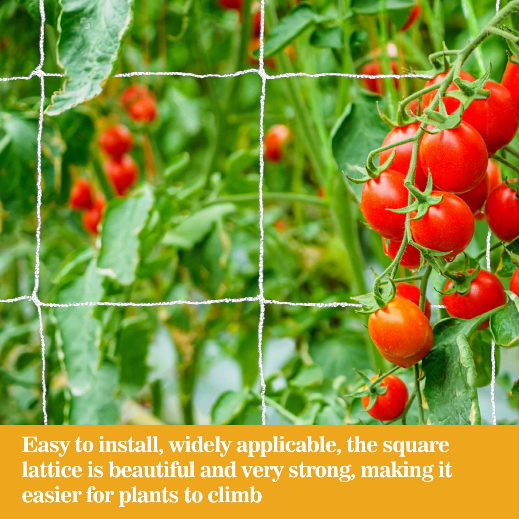 Sukh trellis installation on frames or posts is quick.