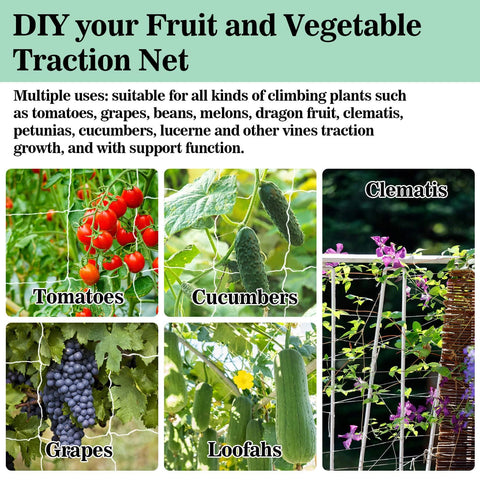 Sukh trellis netting shown with heavy crops, offering strong support during peak season.