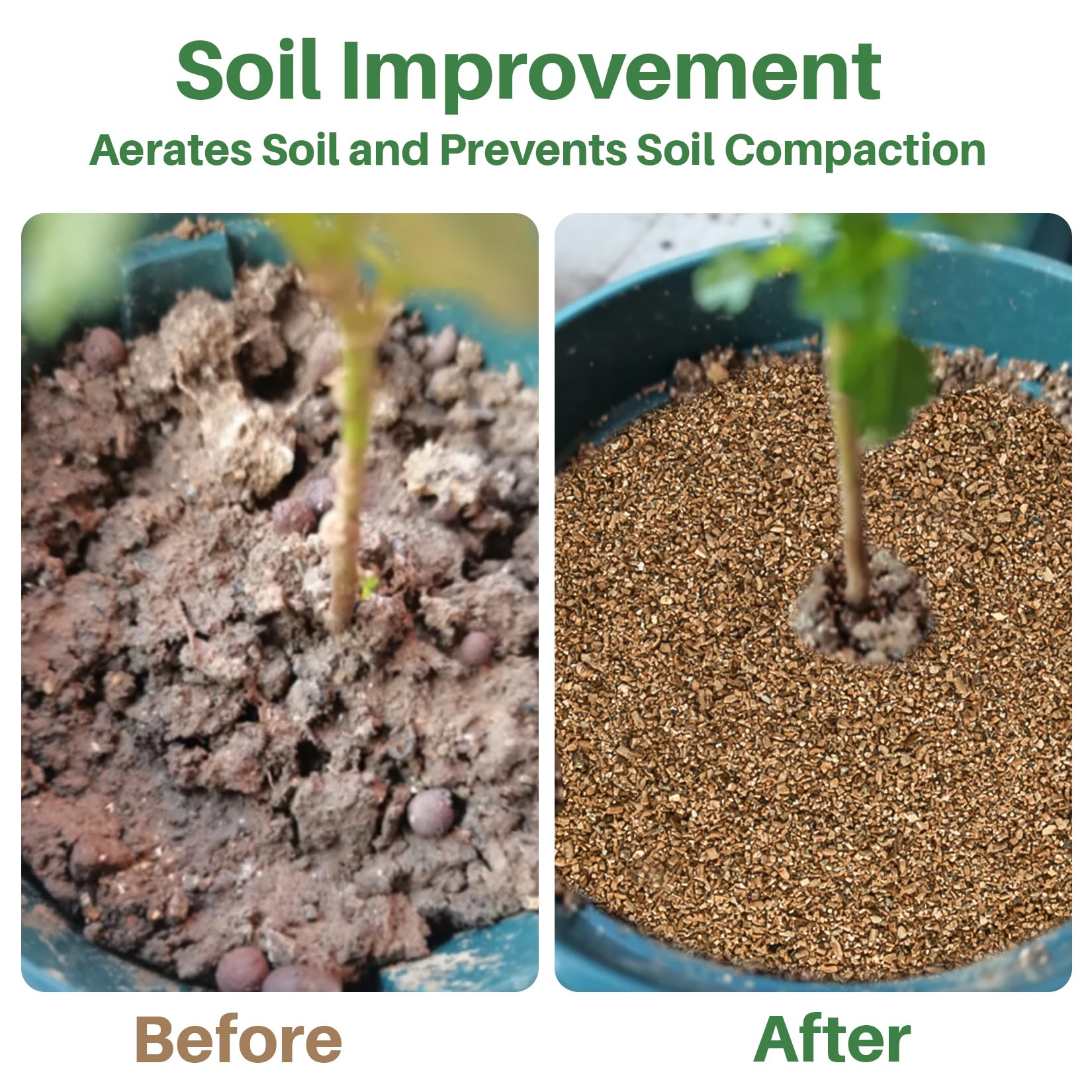 Sukh vermiculite in potting mix demonstrates improved aeration and drainage