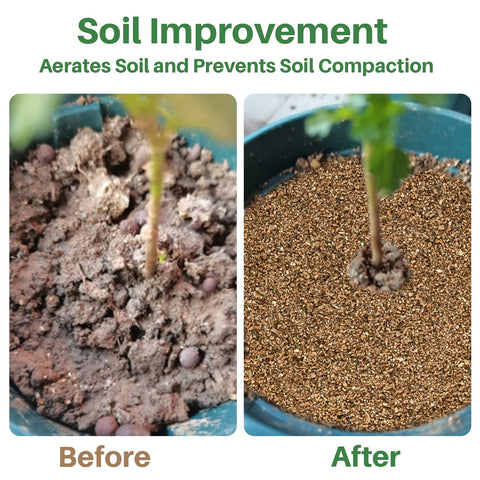 Sukh vermiculite soil aeration enhances root development for healthy growth.