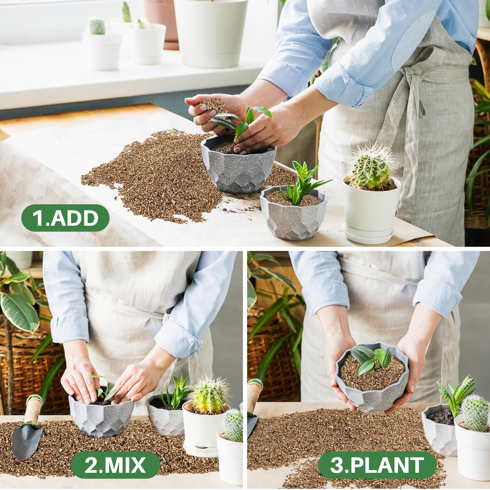 Sukh vermiculite raised bed mix supporting root growth