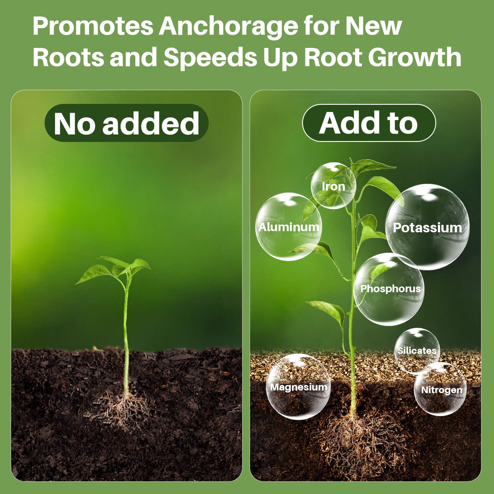 Sukh vermiculite supports seed starting with gentle, moisture-balanced conditions