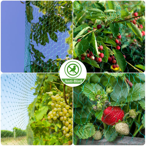 Sukh Versatile Garden Netting guards vegetables and berries without harming wildlife.