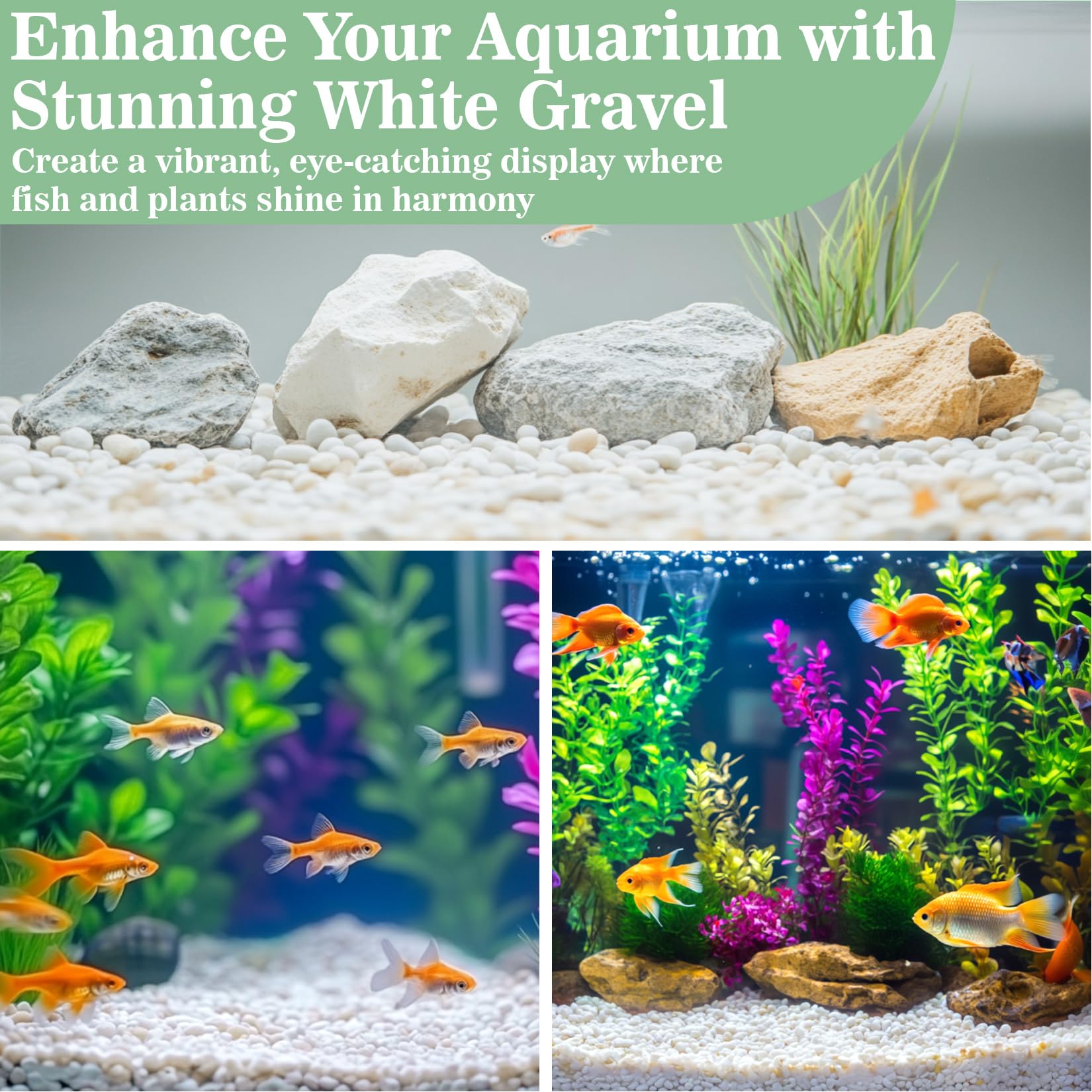 Sukh white pebbles improve soil drainage while adding texture