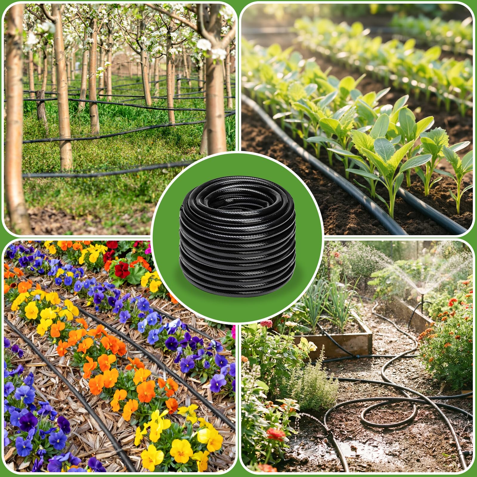 Sulataya greenhouse irrigation setup with drip tubing for precise watering.