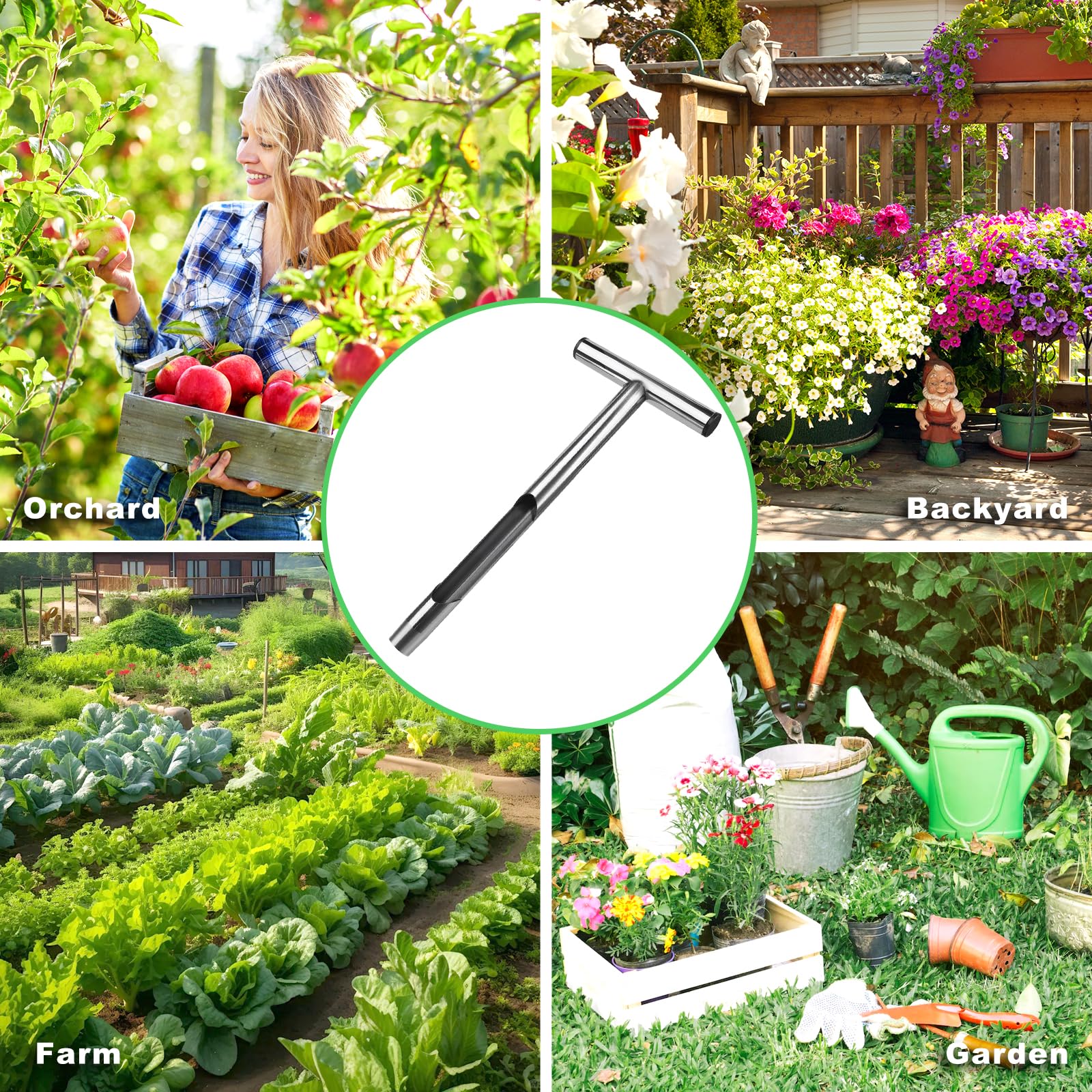 Sumalon home garden soil sampling supports everyday plant care routines.
