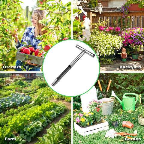 Sumalon home garden soil sampling supports everyday plant care routines.