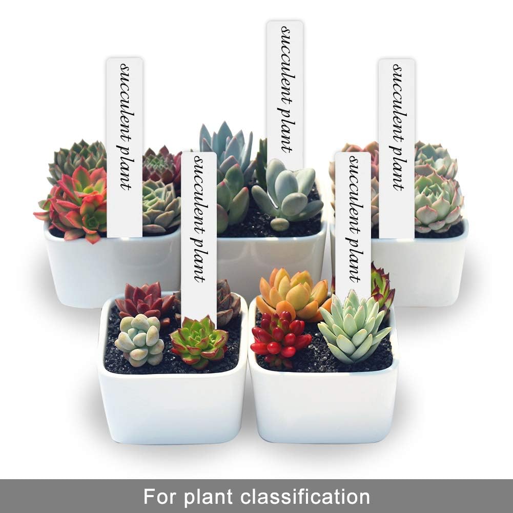 SumDirect garden labels for pots, 6-inch tags for clear plant identification