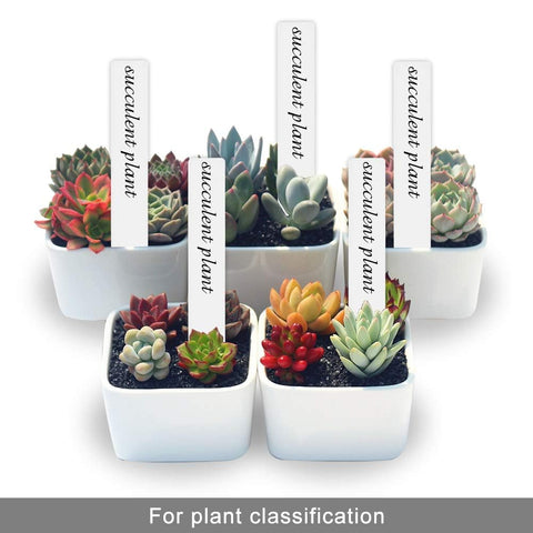 SumDirect garden labels for pots, 6-inch tags for clear plant identification