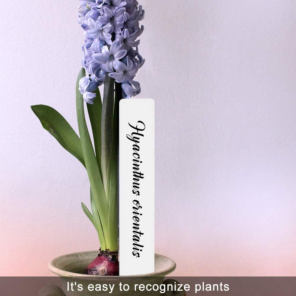 SumDirect outdoor plant label, 6-inch tag withstands outdoor conditions