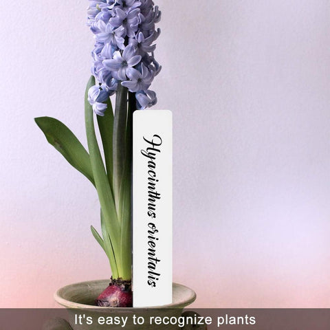 SumDirect outdoor plant label, 6-inch tag withstands outdoor conditions