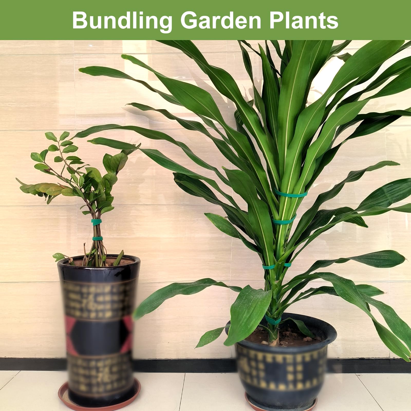 SumDirect plant tape indoor-use application for vines and cables.
