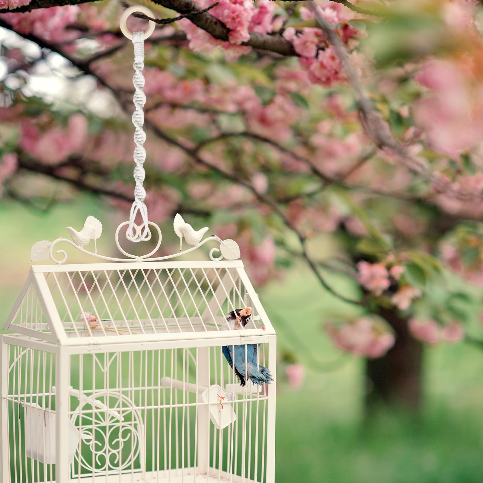 SUMERSHA packaged six extenders ideal as gifts for plant lovers.