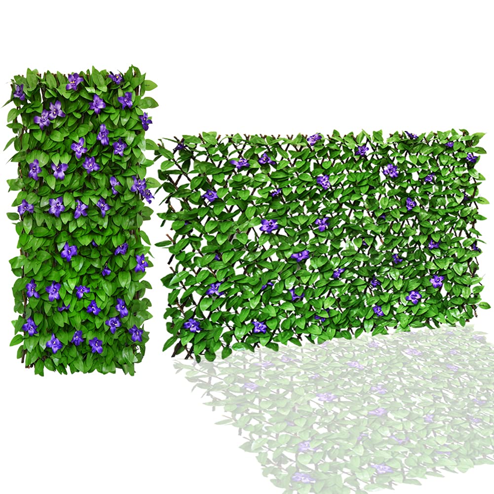 Sumery evergreen leaves provide year-round greenery with minimal maintenance.