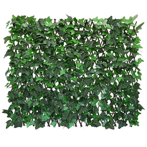 Sumery ivy fence wood-rod close-up shows realistic privacy leaves