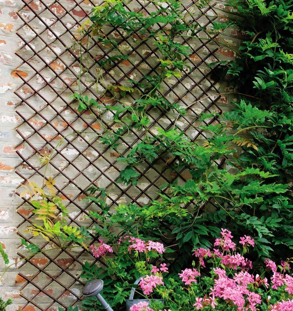 Sumery Nature Willow Trellis used as plant support in a garden setting.
