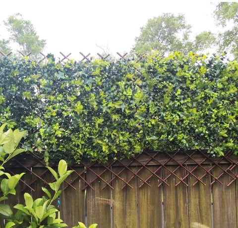 Sumery Nature Willow Trellis attached to a wall as a decorative divider.