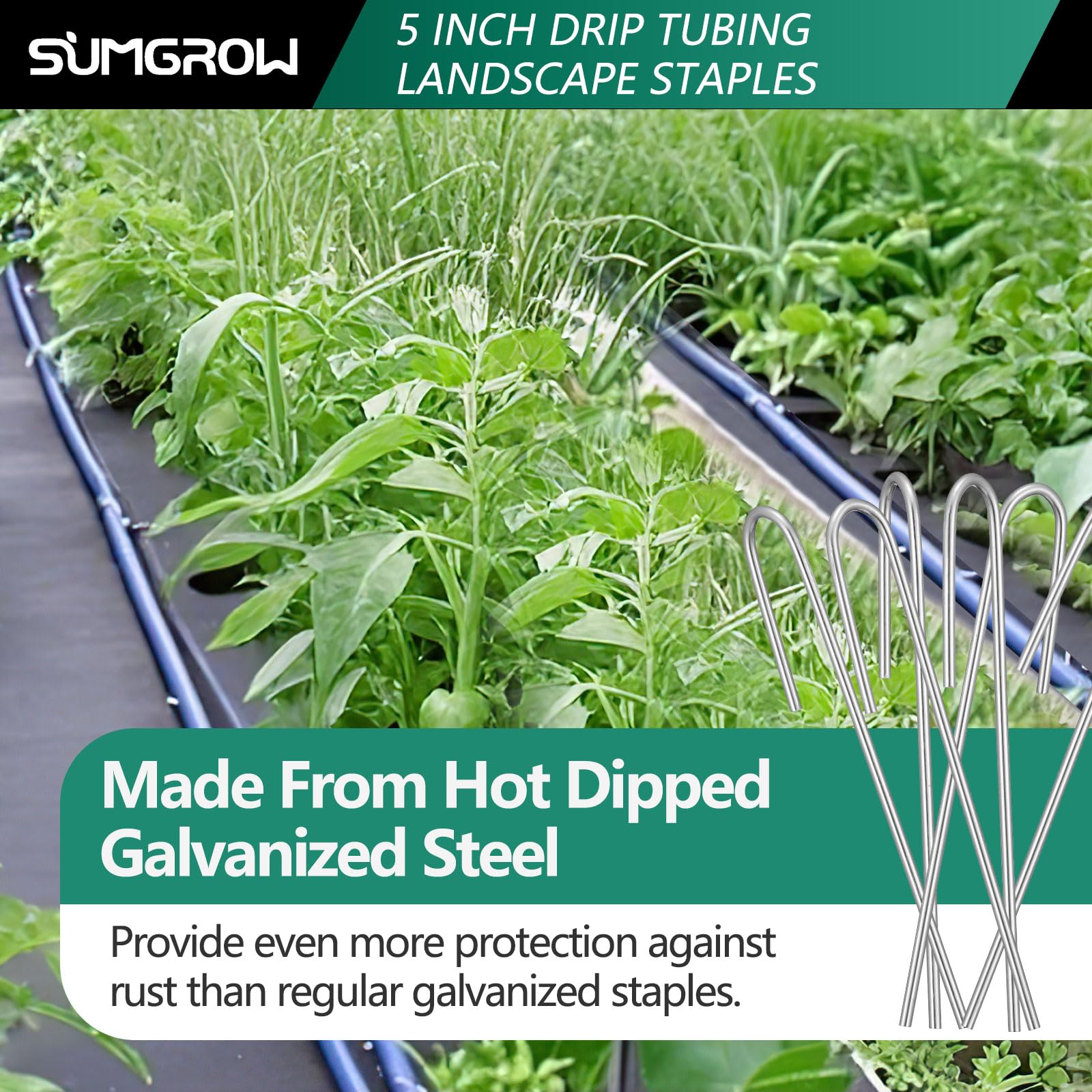 SUMGROW stakes in garden bed usage highlight easy placement in soil.