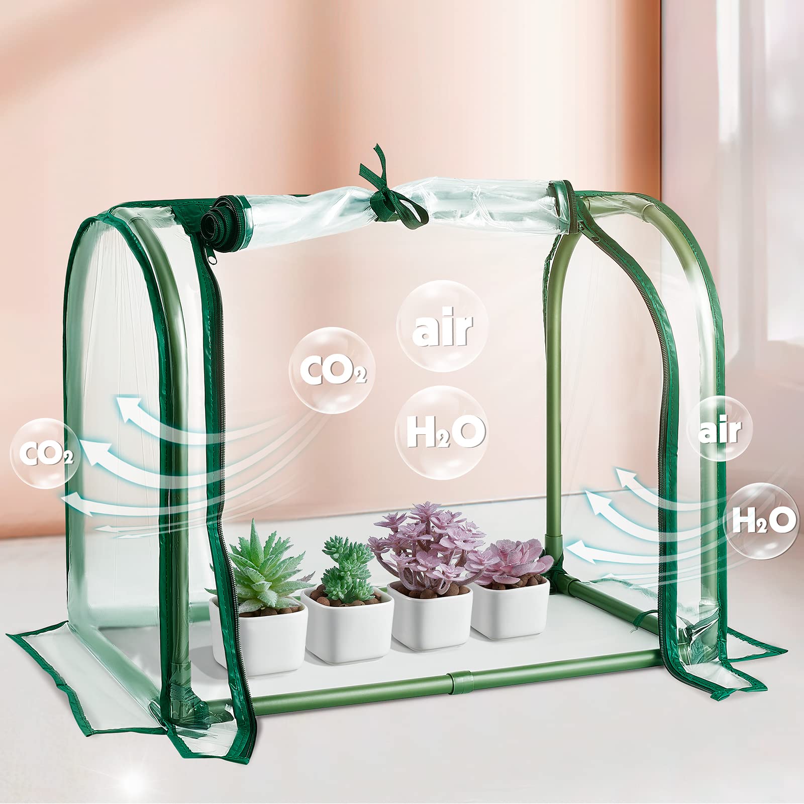 Sumgrow mini greenhouse roll up panel enabling easy plant checks.