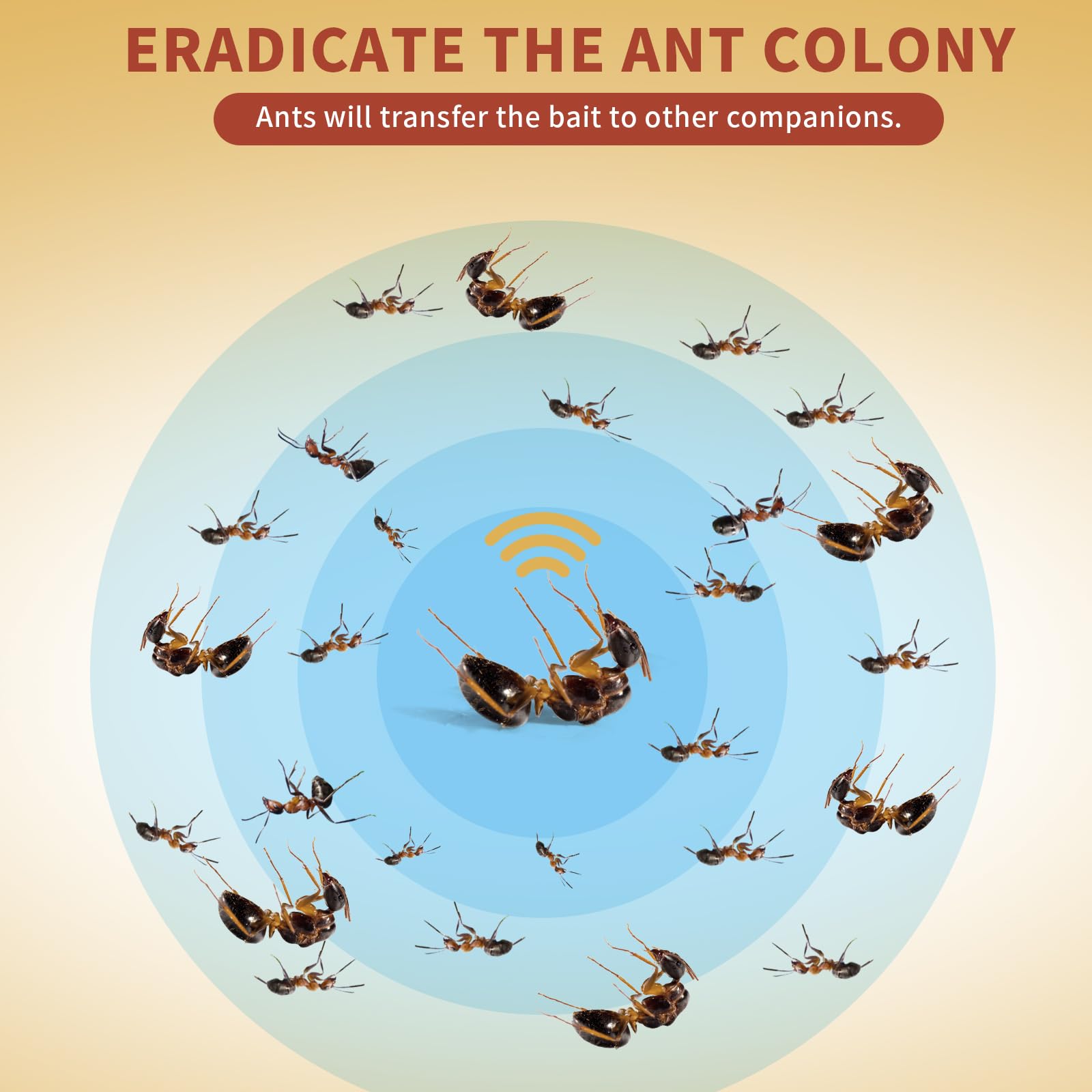 Sumkat Ant Bait Gel targets nests and reduces colony activity.