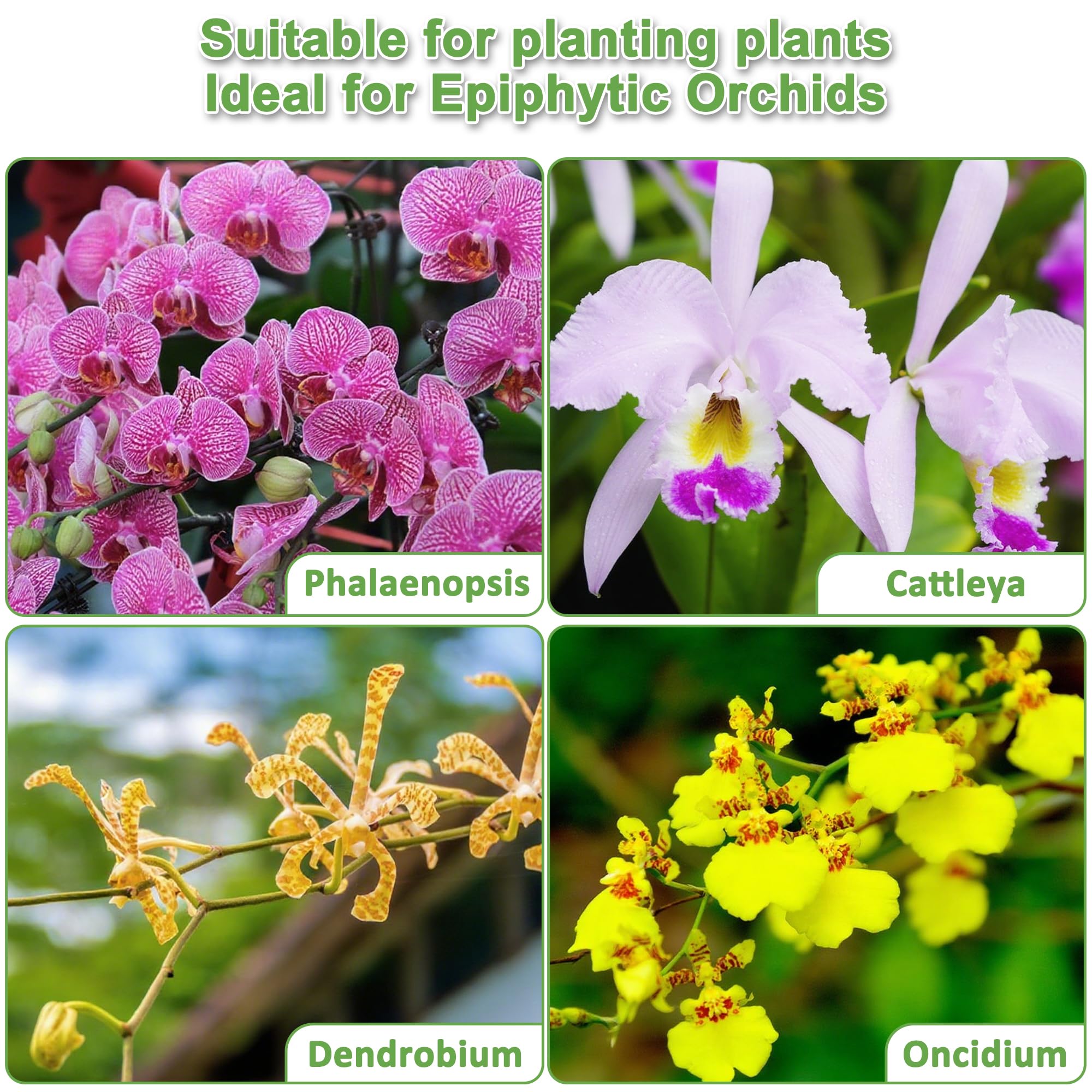 Hand blended Sumloty orchid mix for quick repotting